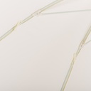 THE CLUB UMBRELLA - Antique White - Business & Pleasure Co. 