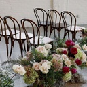 Thonet chair - dark oak - stackable