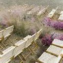Alma chair 1.webp